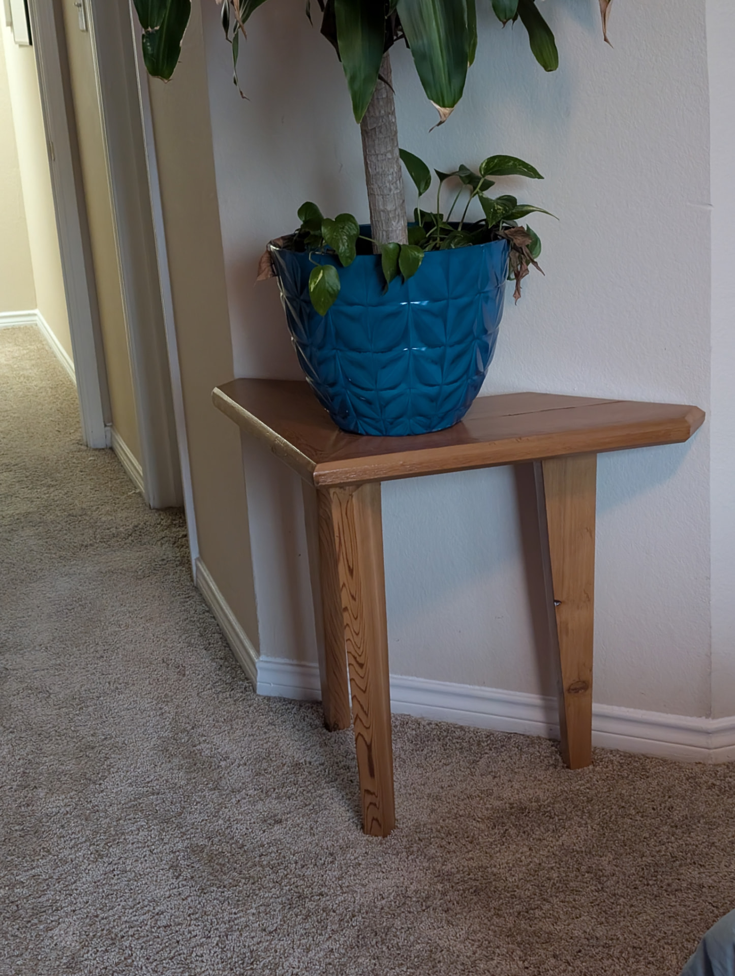 Corner table with potted plant in hallway corner